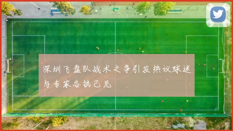 深圳飞盘队战术之争引发热议球迷与专家各执己见