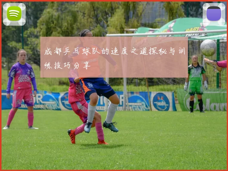 成都乒乓球队的速度之道探秘与训练技巧分享