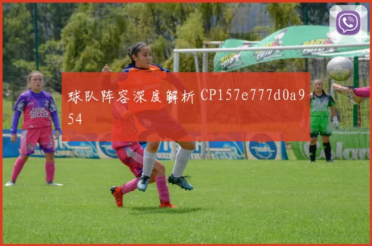 球队阵容深度解析 CP157e777d0a954