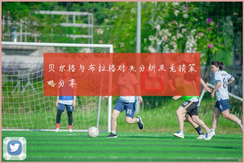 贝尔格与布拉格对决分析及竞猜策略分享