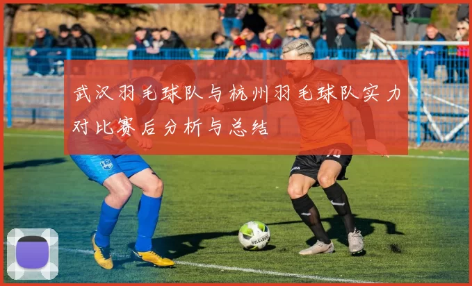武汉羽毛球队与杭州羽毛球队实力对比赛后分析与总结