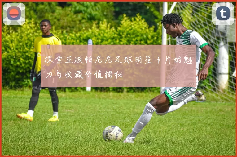 探索正版帕尼尼足球明星卡片的魅力与收藏价值揭秘