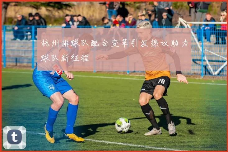 杭州排球队配合变革引发热议助力球队新征程