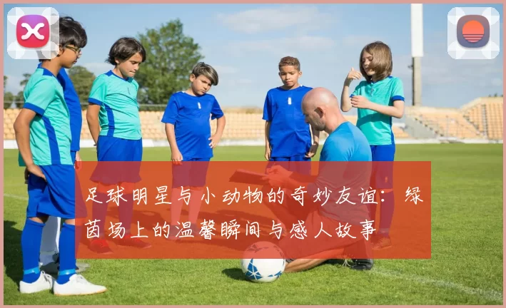 足球明星与小动物的奇妙友谊：绿茵场上的温馨瞬间与感人故事