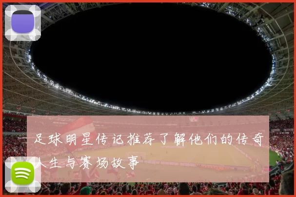 足球明星传记推荐了解他们的传奇人生与赛场故事
